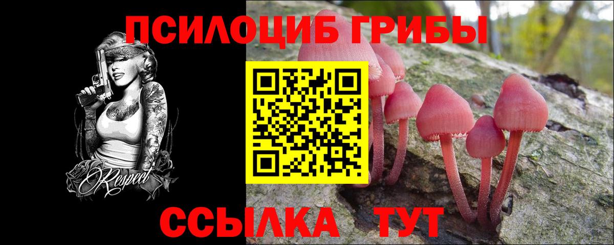 Псилоцибиновые грибы Psilocybine cubensis Буйнакск