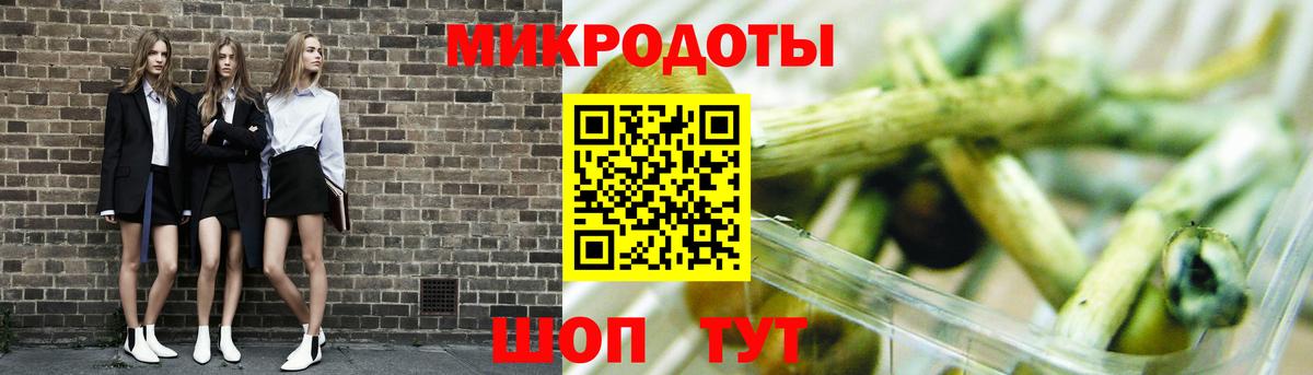 Псилоцибиновые грибы GOLDEN TEACHER  Вход с VPN  Псилоцибиновые грибы Cubensis  Буйнакск 